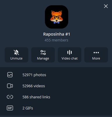 Preview do grupo no Telegram
